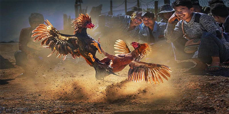 33win02 xổ số bữa nay