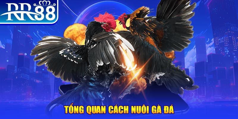 33win02 game nổ hũ rút tiền mặt là gì
