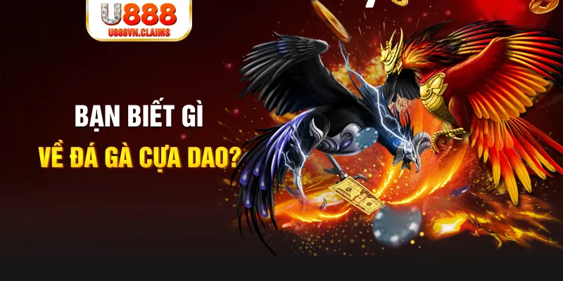 33win02 SW Xổ Số