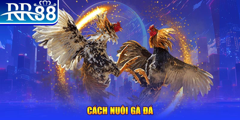 33win02 đăng nhập phỏm đổi thưởng