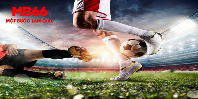 33win02 trực tiếp đá gà thomo