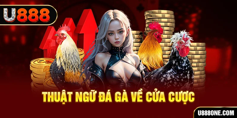 33win02 hơn cả bạn bè