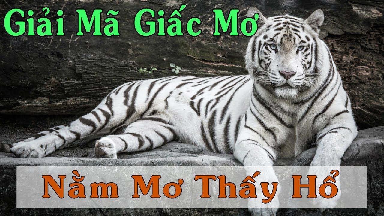 33win02 nổ hũ là game gì