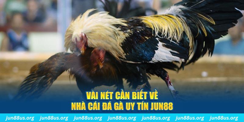 33win02 đăng nhập phỏm khuyến mãi