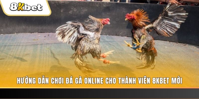 33win02 JILI Game Bài 3d