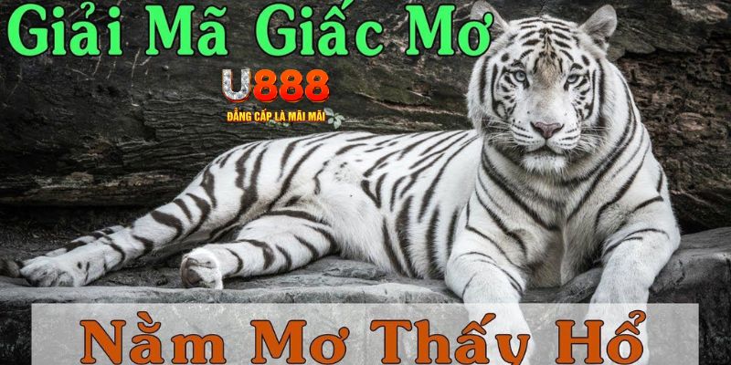 33win02 xổ số miền bắc xổ số miền bắc