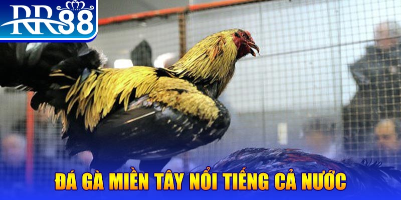 33win02 xổ số đại phát