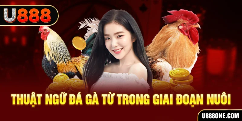 33win02 xổ số miền bắc 90 ngày