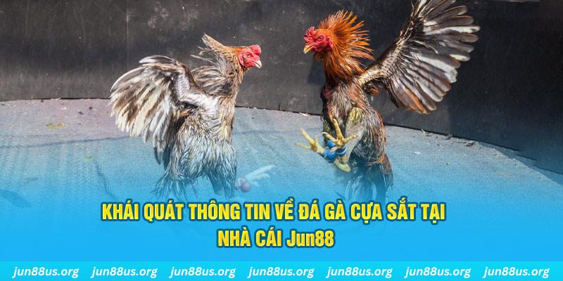 33win02 xổ số miền bắc thứ bảy hàng tuần