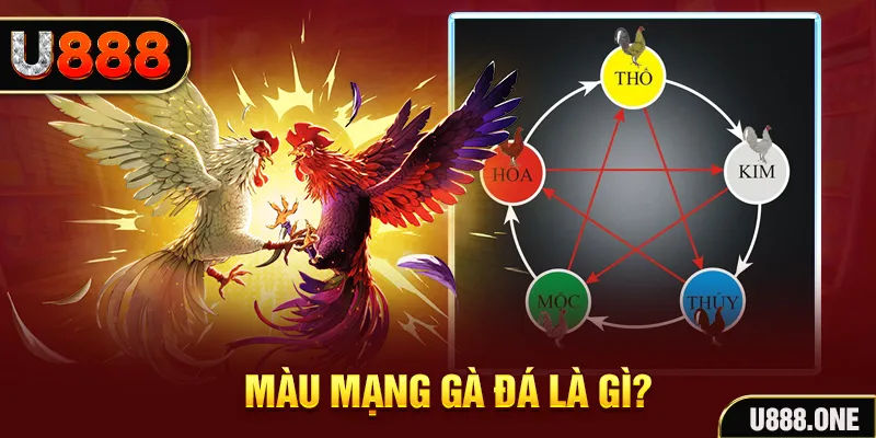 33win02 xổ số miền trung thứ tư hàng tuần