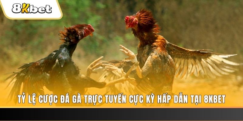 33win02 đăng nhập nổ hũ trực tuyến