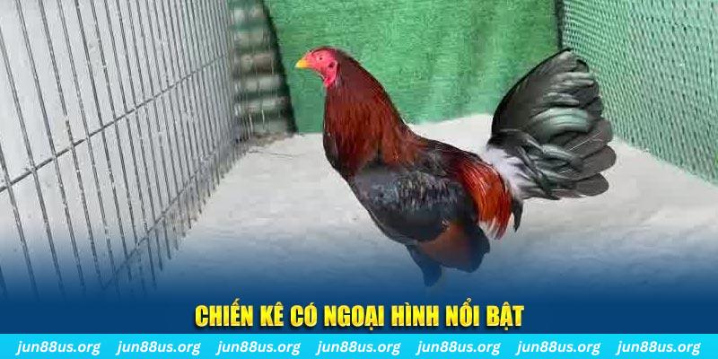 33win02 game bắn cá