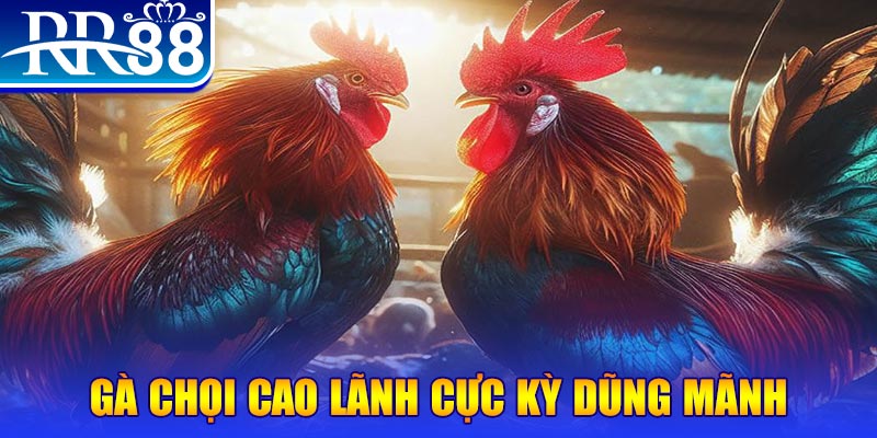 33win02 HB Điện Tử