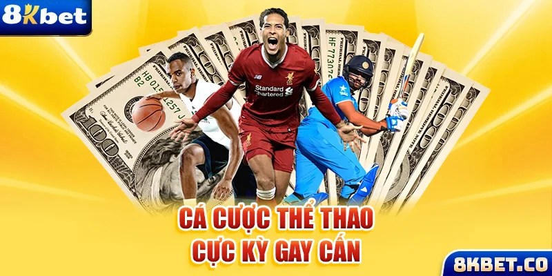 33win02 xem đá gà trực tiếp